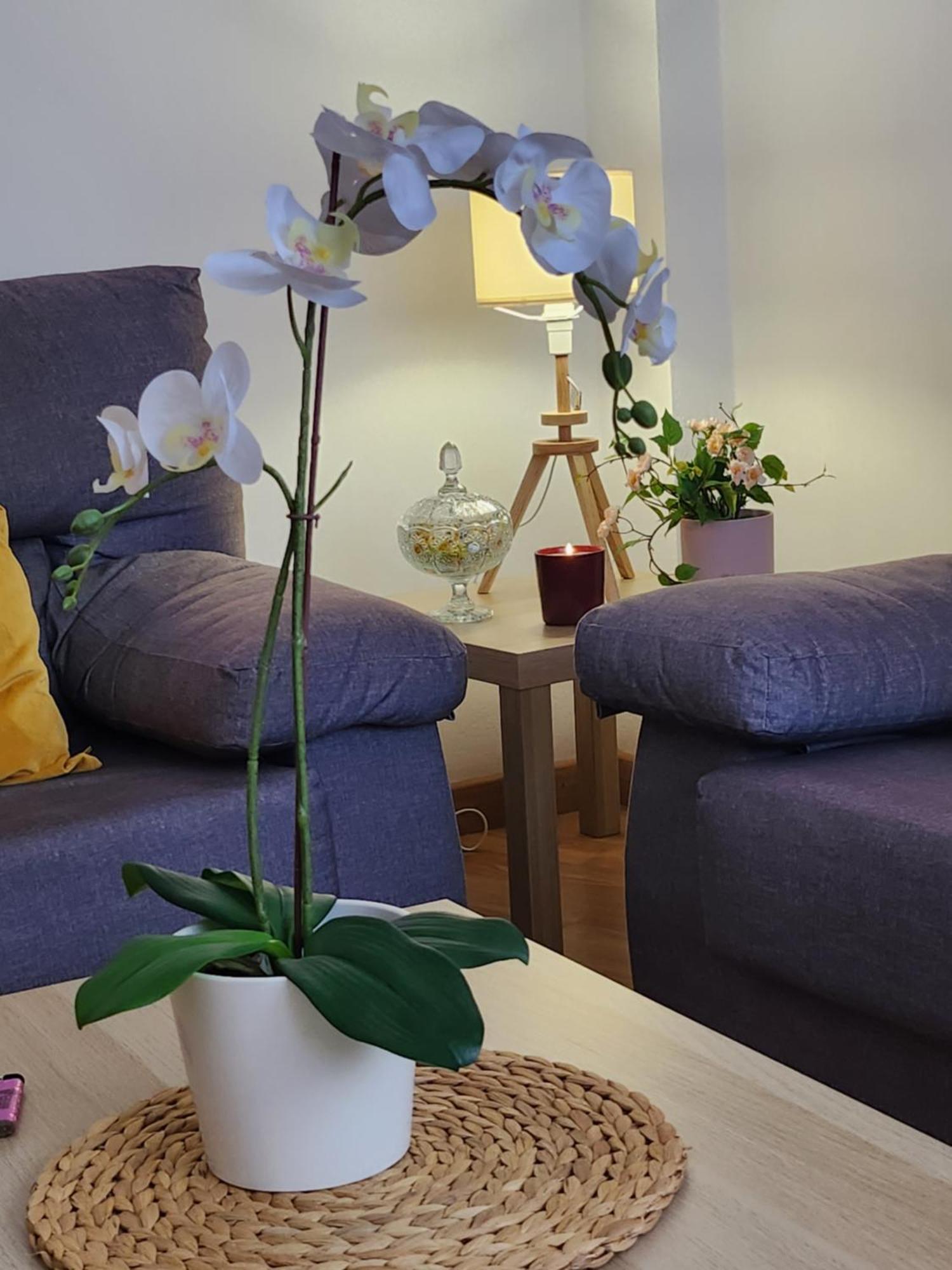 Apartmán Casa Gara Isabel Arrecife  Exteriér fotografie